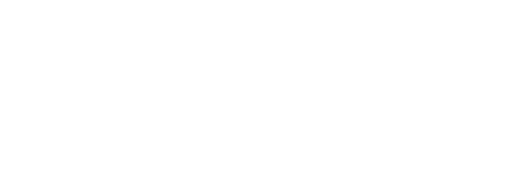 logo-25-festival-amapro-white