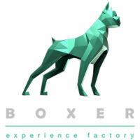 boxer