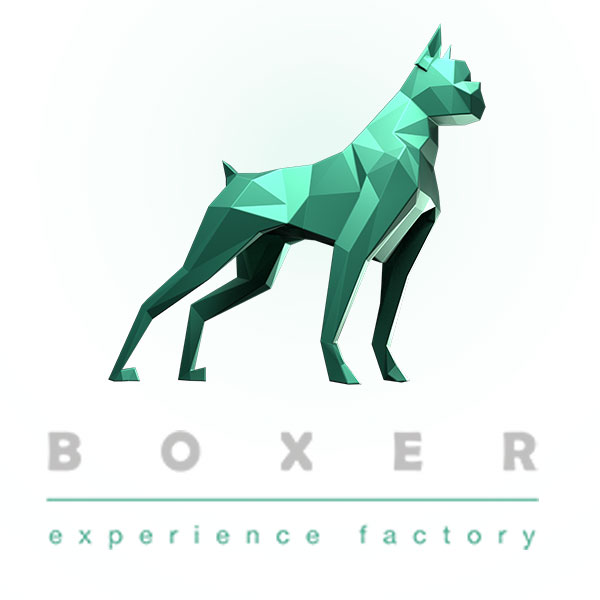 boxer