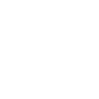 pauta-thumb