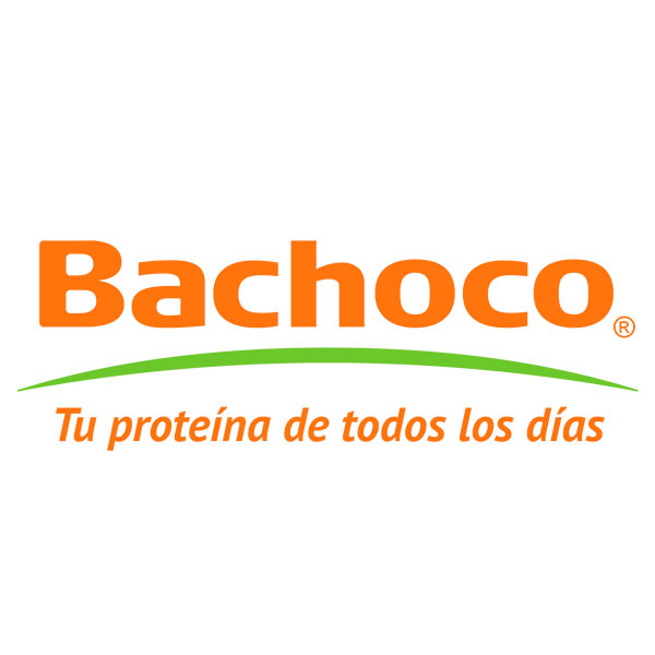 bachoco-